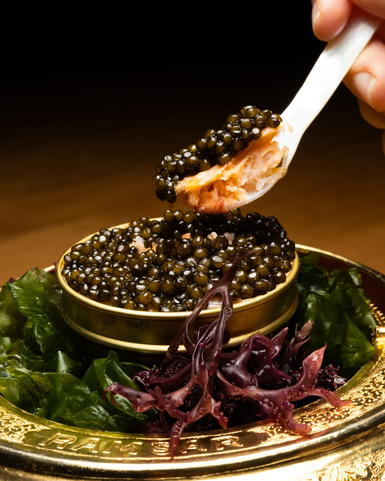 Spoonful of caviar on a golden tin