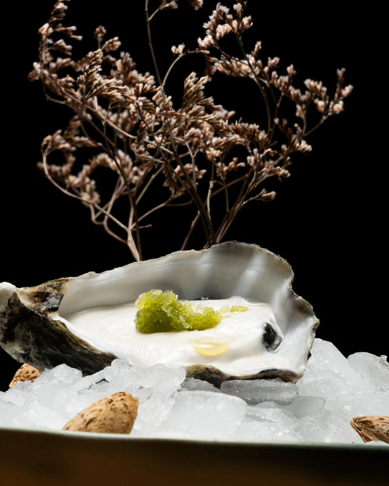 Oyster on ice with dry branches